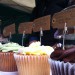 Cupcakes from Asha's Cakery