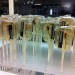 Scorpion lollipops.
