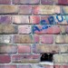 3004_asbo