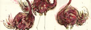 Anna Wright, A Flamboyance of Flamingos