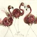 Anna Wright, A Flamboyance of Flamingos