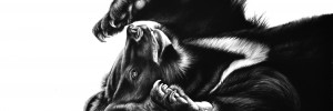 Richard Symonds, Bear bathing.