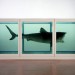 The Physical Impossibility of Death in the Mind of Someone Living by Damien Hirst. On display at Tate Modern from this week