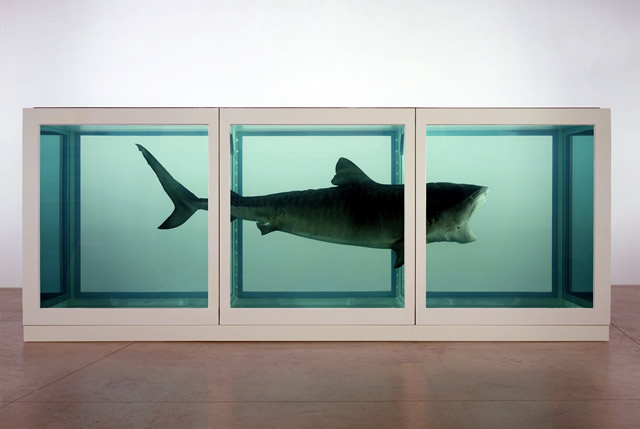 The Physical Impossibility of Death in the Mind of Someone Living by Damien Hirst. On display at Tate Modern from this week