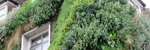 living walls