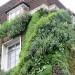 living walls