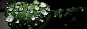 rain