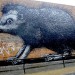 roachancestreet roachancestreet