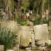 tower_hamlets_cemetery_park