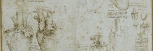 Studies of the coronary vessels and valves of the heart, The Royal Collection (c) 2011, Her Majesty Queen Elizabeth II