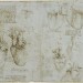 Studies of the coronary vessels and valves of the heart, The Royal Collection (c) 2011, Her Majesty Queen Elizabeth II