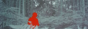 Gloria Ceballos, Senigrafia Bosque. Courtesy The Other Art Fair