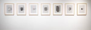 Stephen Gill's installation