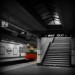 arnosgrove_290512