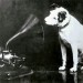 hmvnipper