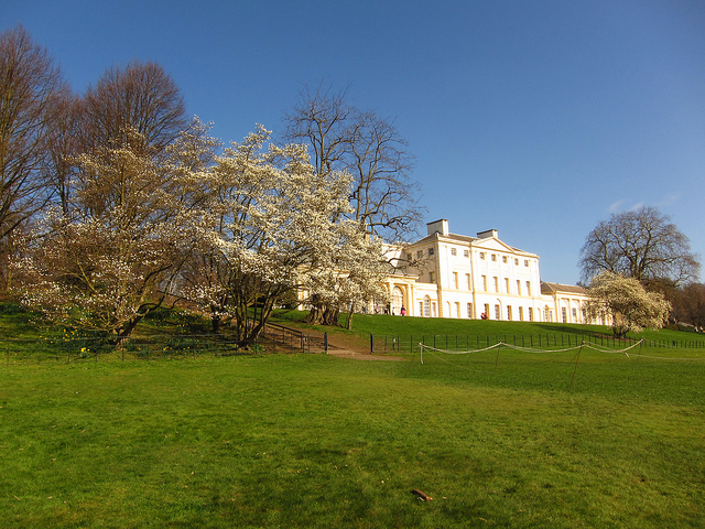 kenwood