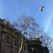 national_gallery2
