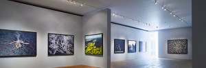 Edward Burtynsky's 'Oil' in the fourth floor gallery