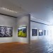 Edward Burtynsky's 'Oil' in the fourth floor gallery