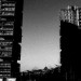 tower blocks
