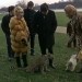 2306_leopard