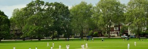 Admire the new cricket field on Hilly Fields at their Midsummer Fayre this Saturday / photo by Ben Brown
