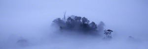 Thomas Endlein / www.tpoty.com