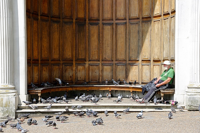 bearded-man-pigeons