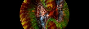 Still from Coral: Rekindling Venus, see Thursday.