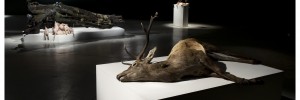 Installation view Endless Plains, courtesy All Visual Arts, photo: Tessa Angus