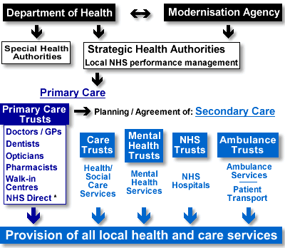Diagram showing hierarchy of the NHS