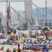 The flotilla on the Thames / photo by McTumshie