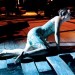 shakespeares-shipwreck-trilogy-1338023385-article-0