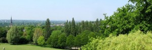 View over the Meadow Field.