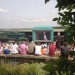 Spectators watching the big screen on Henman Hill / Murray's Mound