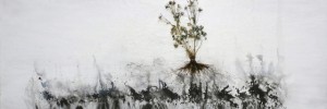 Jay Hyung Kim, Plants are Rooted in the Mind