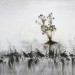 Jay Hyung Kim, Plants are Rooted in the Mind