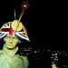 Nelson_night