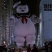 staypuft