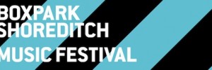 Music Festival Flyer