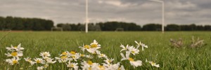 hackneymarshes_230812
