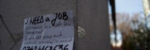 i need a job