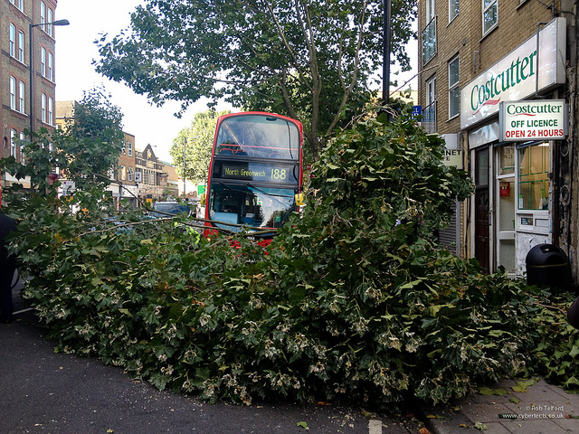 188buscrash_130912