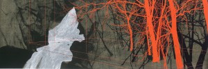Andrew Mackenzie Dog Falls in Half Light, 2012. Courtesy Sarah Myerscough.