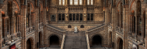 Science is uncovered at the Natural History Museum on Friday / Photo by murphyz