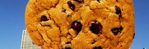 biscuit1
