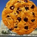 biscuit1