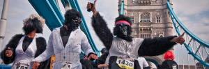 The Great Gorilla Run is on Saturday / photo by chris scott.tv