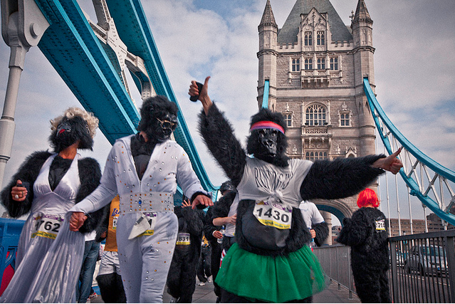 gorillas