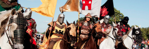 Watch jousting at Lambeth Country Show / photo by Ch@rty